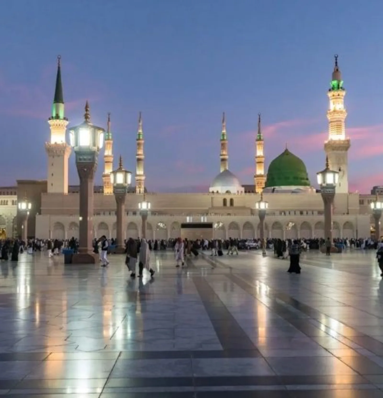 Professional Security Services Medina